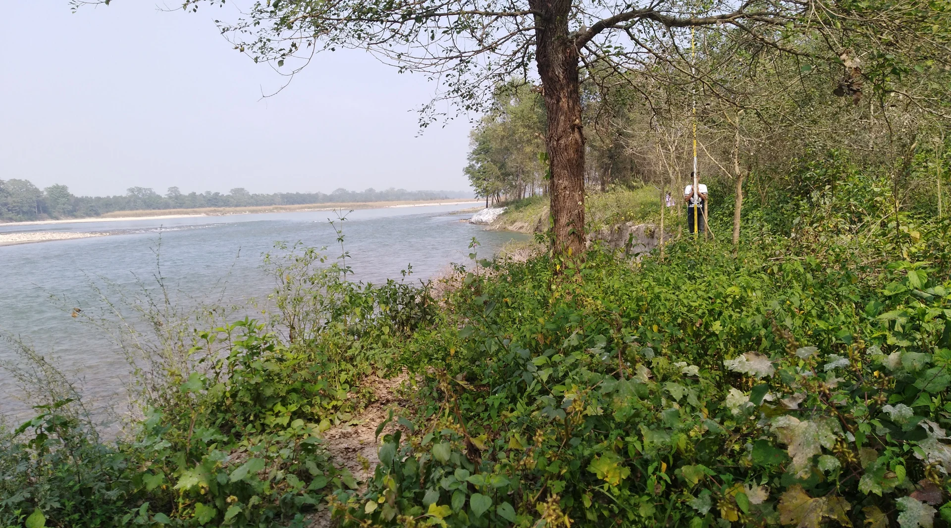 A broad river channel bordered by forest and sandbanks in Bardia National Park, Nepal